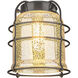 Franklin Restoration Bell Cage LED 6 inch Black Antique Brass Mini Pendant Ceiling Light in Silver Plated Mercury, Franklin Restoration