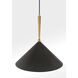 Cortan 1 Light 16 inch Legacy Brass and Dark Bronze Pendant Ceiling Light