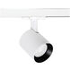 Lucio 1 Light 120 White Track Head Ceiling Light in Asymmetrical, 85, 2700K