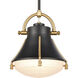 Urbanite 1 Light 9 inch Matte Black with Satin Brass Mini Pendant Ceiling Light in Matte Black/Satin Brass