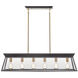 Lucian Island Light Ceiling Light in Black and Brushed Brass