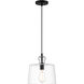 Clarity 1 Light 10 inch Coal Mini Pendant Ceiling Light