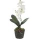 Laris White and Green Orchid Drop-In