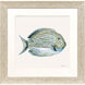 Coastal Bliss Green and Blue Framed Art, Propac