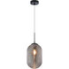 Maruna 1 Light 8.88 inch Matte Black and Smoked Glass Pendant Ceiling Light