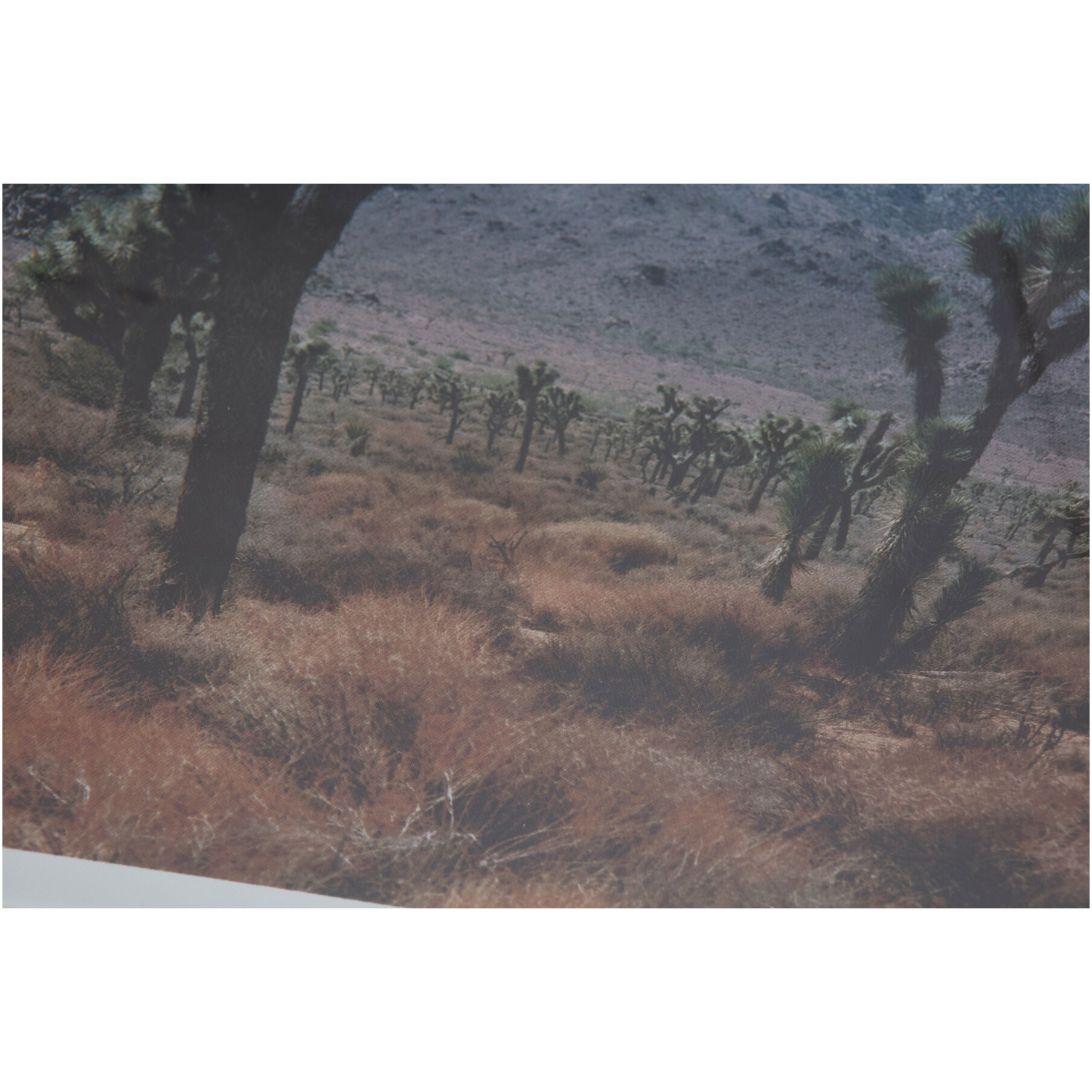 Desert 25.5 X 21.5 inch Painting, Land