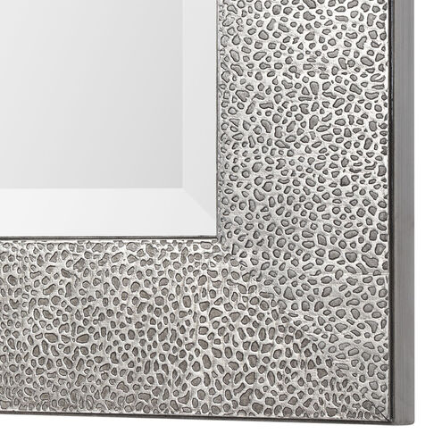 Tulare 48 X 24 inch Metallic Silver with Light Gray Wash Wall Mirror