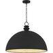 Braylon Pendant Ceiling Light