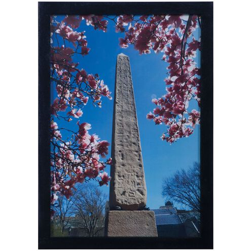 Central Park Multicolor with Black Framed Wall Art