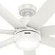 Brazos 52 inch Fresh White Outdoor Ceiling Fan