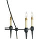 Danielli 12 Light 41 inch French Black Chandelier Ceiling Light
