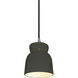 Radiance Collection 1 Light 8 inch Pewter Green Pendant Ceiling Light