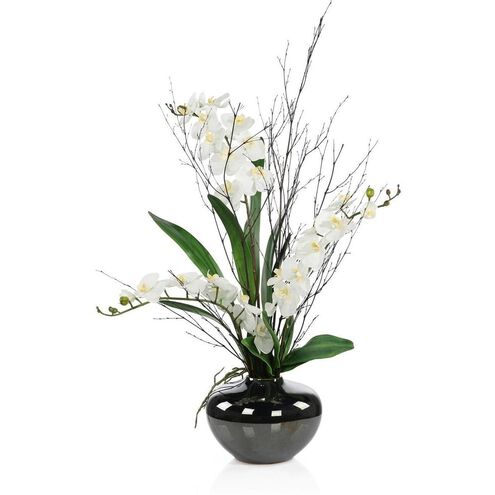 Black Bamboo & Orchids Botanical/Floral