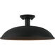 Farmley 1 Light 16 inch Matte Black Outdoor Pendant