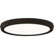 Argo 1 Light 11 inch Black Flush Mount Ceiling Light