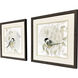 Botanical Sketch Bird Green and Multi and Gray and Black Framed Art, Propac