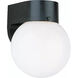 Outdoor Wall 1 Light 7.25 inch Black Outdoor Wall Lantern