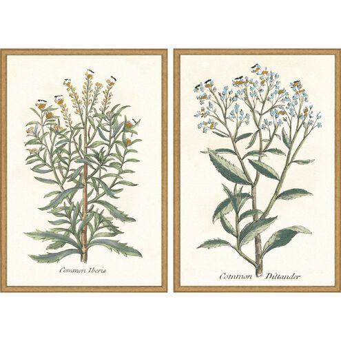 Florals Collection Antique Gold Wood With Embossed Weave Pattern Framed Art