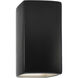 Ambiance LED 9.5 inch Celadon Green Crackle Outdoor Wall Sconce