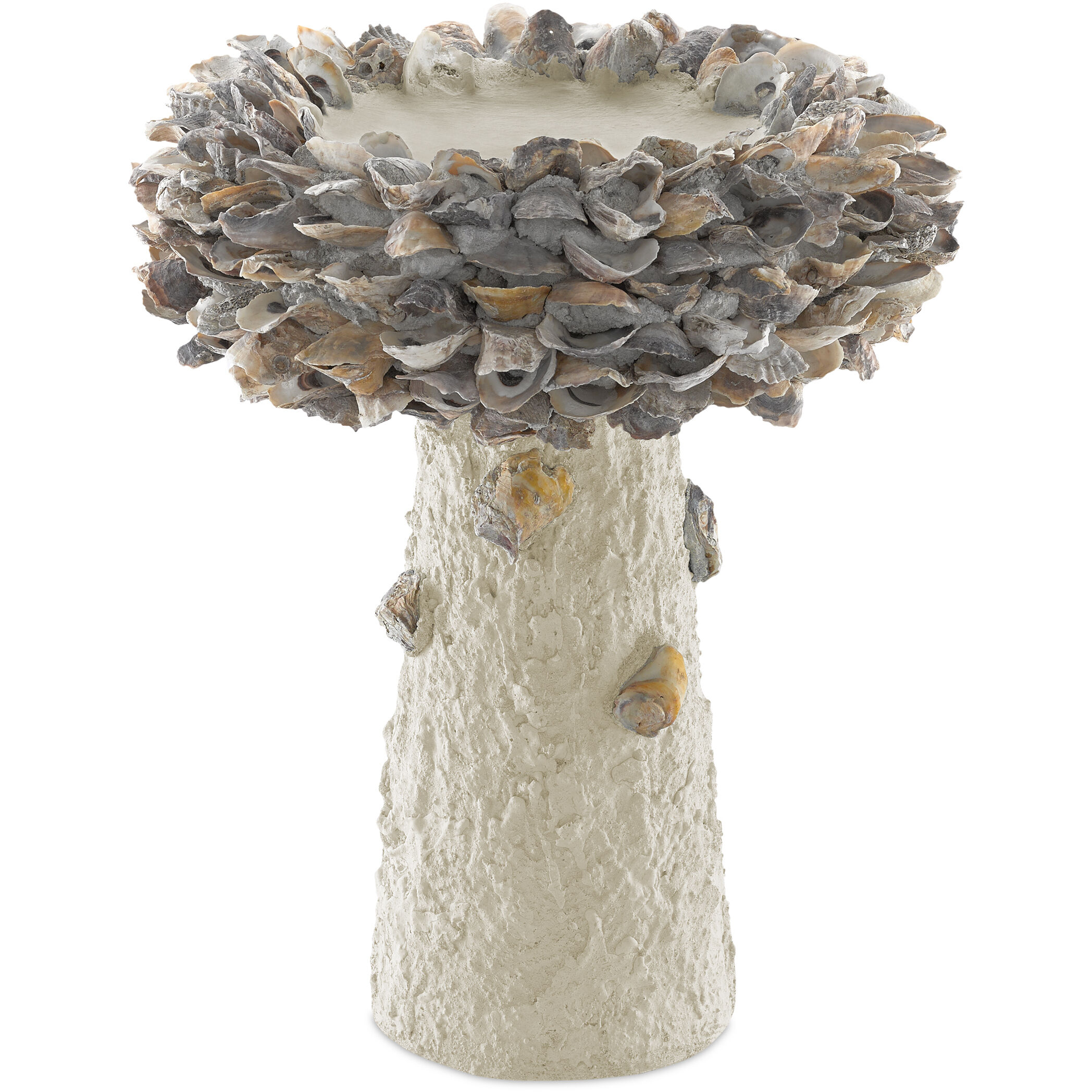 Oyster Shell Natural Bird Bath, Medium