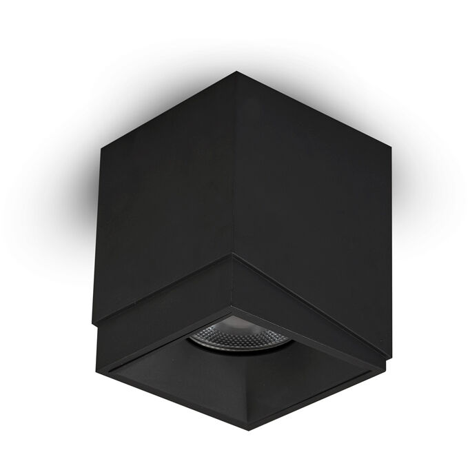 NODE Series Black Surface Mounted Downlight Ceiling Light