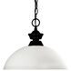 Shark 1 Light 14 inch Matte Black Pendant Ceiling Light in 5, Matte Opal Glass