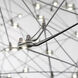 Leonardell Linear Chandelier Ceiling Light in Black