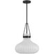 Traditional 1 Light 15 inch Matte Black Pendant Ceiling Light