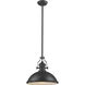 Chadwick Pendant Ceiling Light in Matte Black