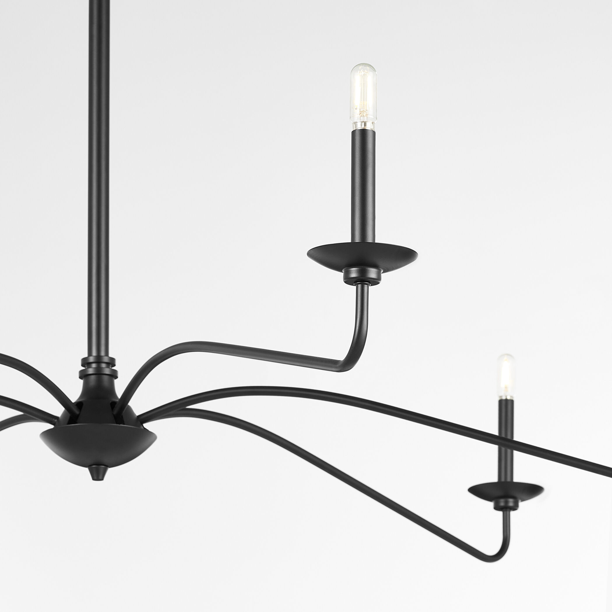 Euphora 6 Light 62 inch Matte Black Chandelier Ceiling Light