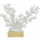Lifelike 11.4 X 5.1 inch Sculpture