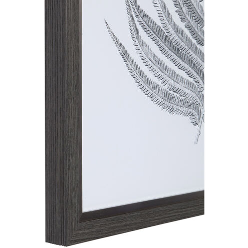 Silver Ferns 39 X 29 inch Framed Prints, Set of 2