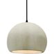 Radiance LED 10 inch White Crackle and Matte Black Pendant Ceiling Light
