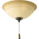 Torino 3 Light Forged Bronze Fan Light Kit in Tea-Stained