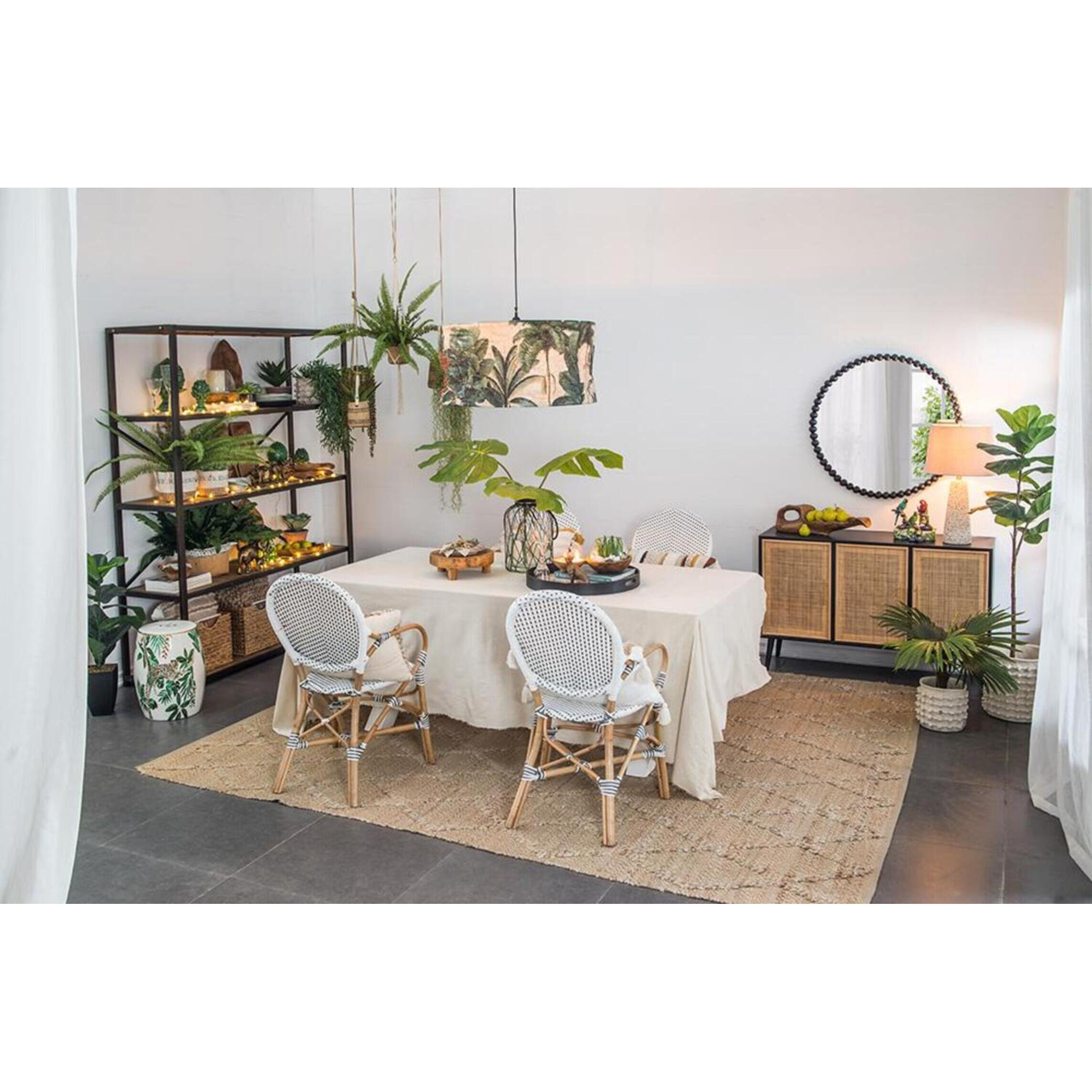 Macaw Brown and Multi-Color Figurine, Set of 3