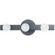 Raleigh LED 16 inch Matte Black Vanity Light Wall Light