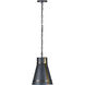 Brasserie 1 Light 12.5 inch Blackened Zinc and Heritage Bronze Mini Pendant Ceiling Light