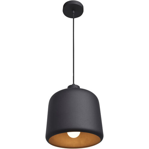 Nostalgia LED 10 inch Matte Black Pendant Ceiling Light