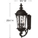 Estate Series Windsor Outdoor Wall Mount Lantern in Black, Medium