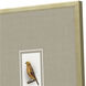 Animals Collection Multi Framed Art