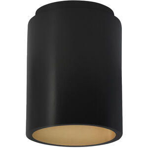 Radiance 1 Light 6.5 inch Carbon Matte Black and Champagne Gold Outdoor Flush Mount