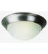 Signature 2 Light 14 inch Brushed Nickel Flush Mount Ceiling Light