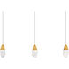 Beyond Martini LED 5.5 inch Aged Brass Multi-Light Pendant Ceiling Light in Optic, Linear Canopy