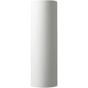 Ambiance Tube LED 17 inch Matte White Outdoor Wall Sconce