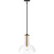 Nova 1 Light 14 inch Matte Black Pendant Ceiling Light