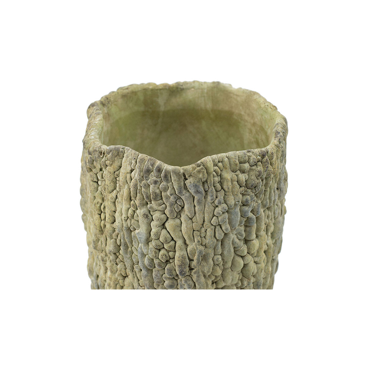 Bitter Gourd Light Green Outdoor Planter