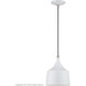 Bolita 8 inch White with Brushed Nickel Accents Pendant Ceiling Light