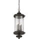 Palmer 4 Light 12.5 inch Walnut Patina Outdoor Hanging Lantern