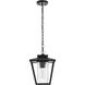 Gaul 1 Light 10 inch Black Outdoor Pendant
