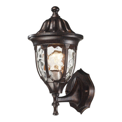 Joy 1 Light 13 inch Regal Bronze Outdoor Sconce